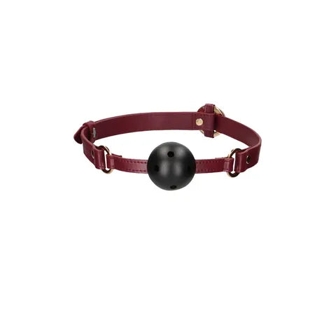 OUCH! Halo Breathable Ball Gag